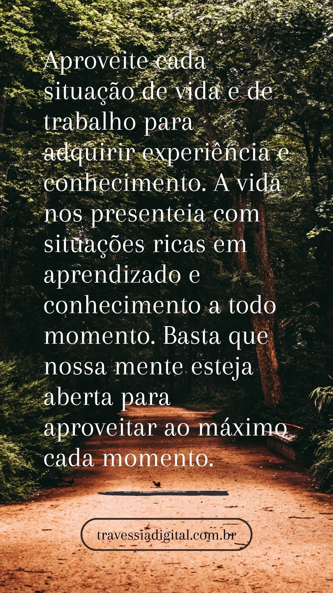 Aproveite cada situação de vida e de trabalho para adquirir experiência e conhecimento. A vida nos presenteia com situações ricas em aprendizado e conhecimento a todo momento. Basta que nossa mente esteja aberta para aproveitar ao máximo cada momento.