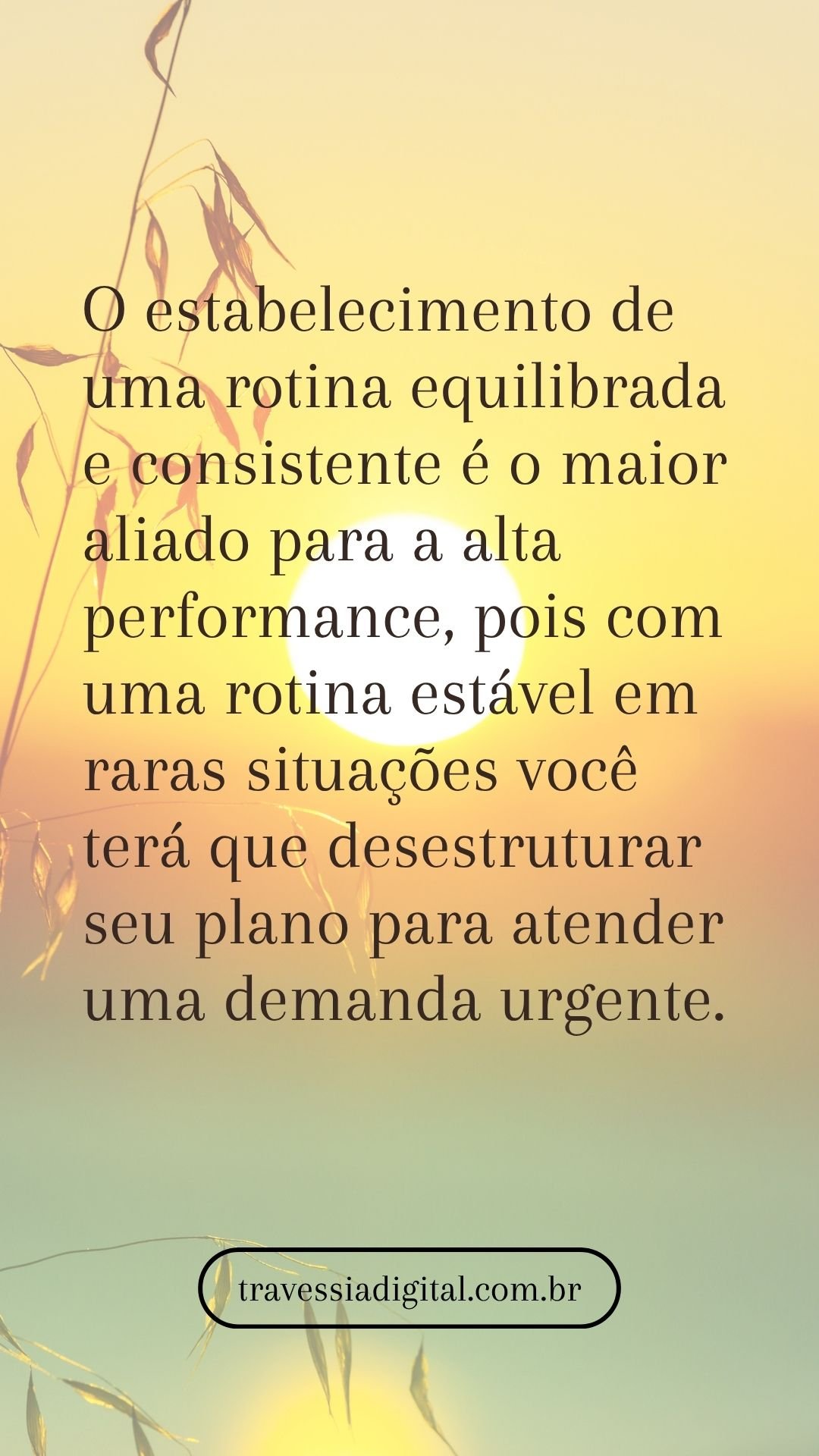 O estabelecimento de uma rotina equilibrada e consistente é o maior aliado para a alta performance, pois com uma rotina estável em raras situações você terá que desestruturar seu plano para atender uma demanda urgente.