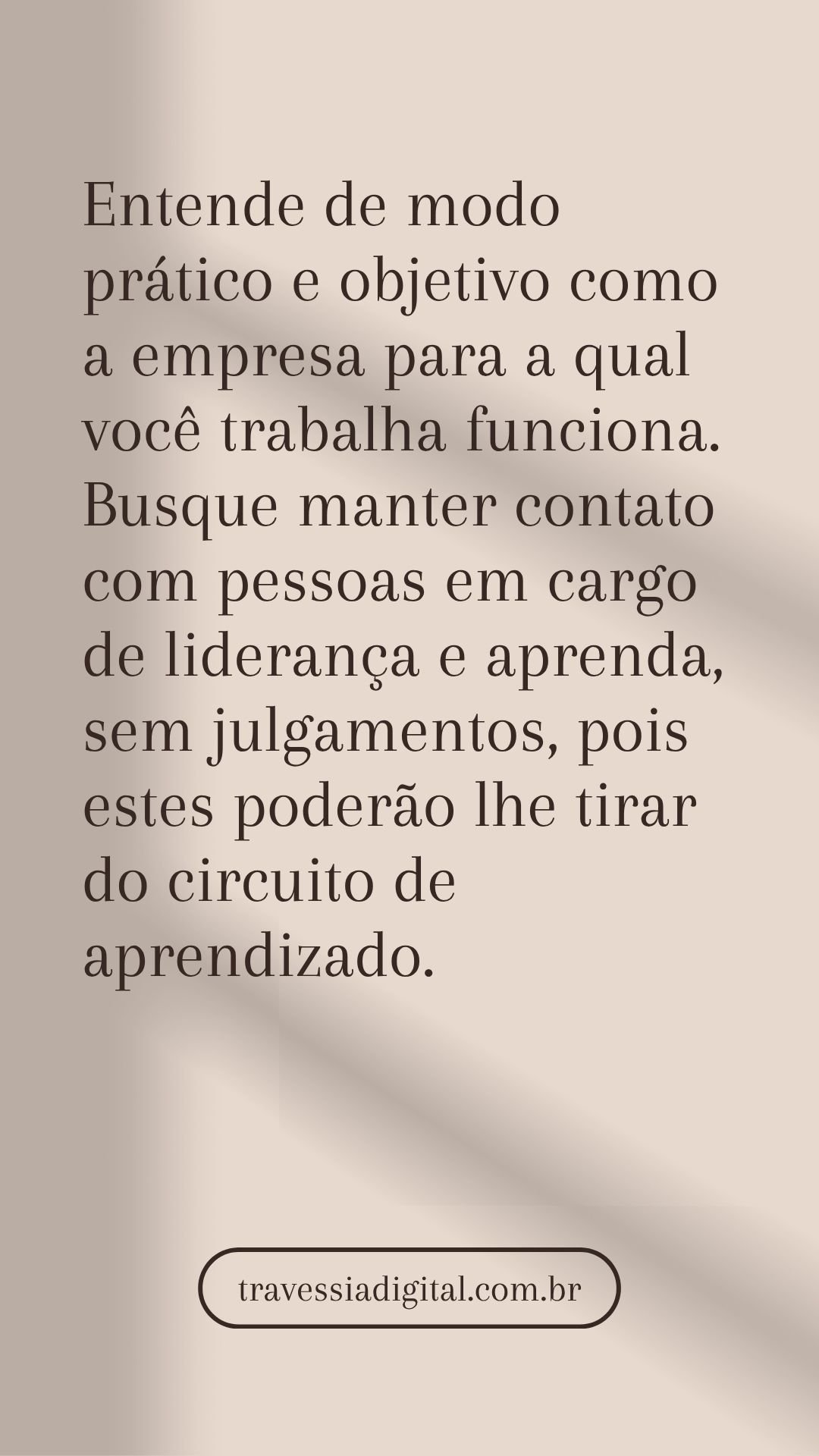 Entende de modo prático e objetivo como a empresa para a qual você trabalha funciona. Busque manter contato com pessoas em cargo de liderança e aprenda, sem julgamentos, pois estes poderão lhe tirar do circuito de aprendizado.